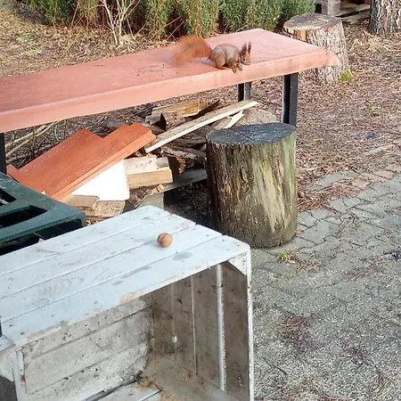 Dom Nad Narwią - Cisza Spokój Rzeka Jezioro *